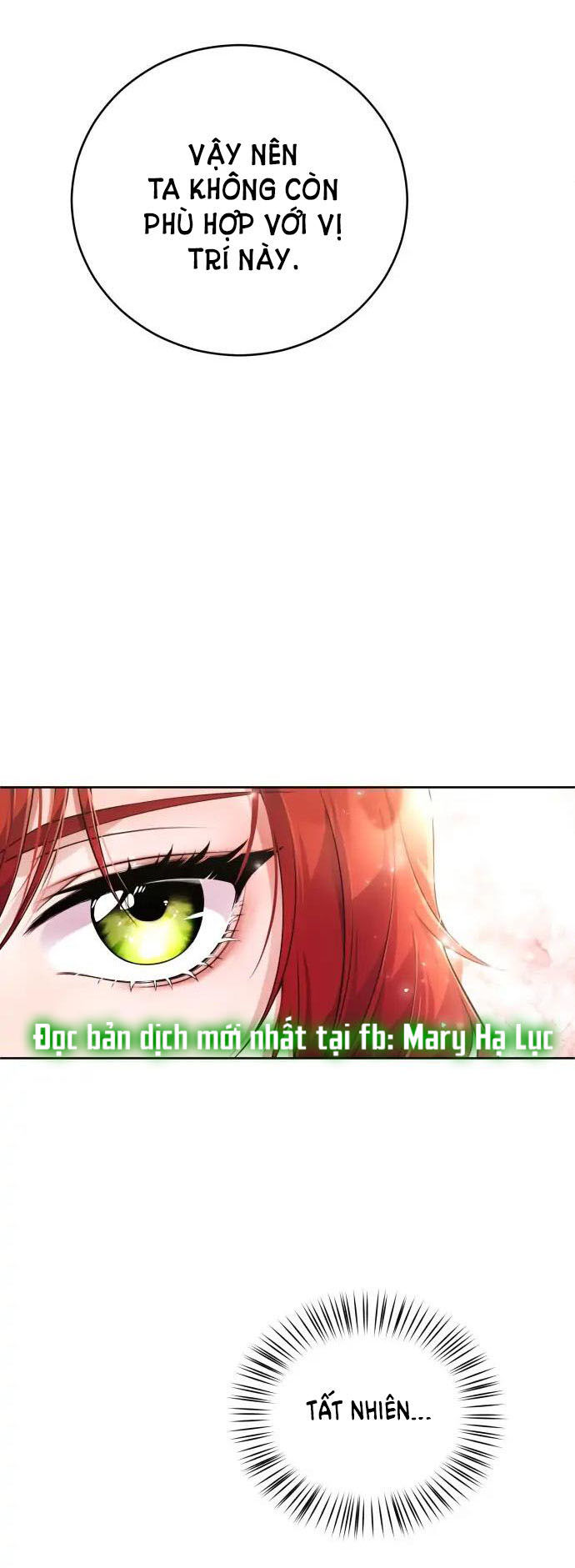 tôi sẽ ly hôn với người chồng bạo chúa chapter 2.1 17