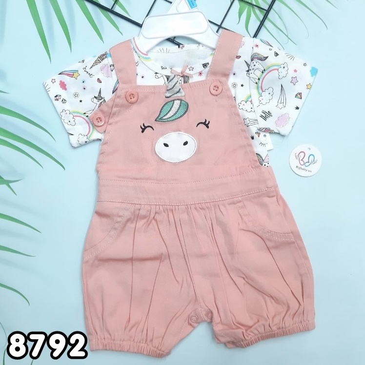 SET YẾM KOALA