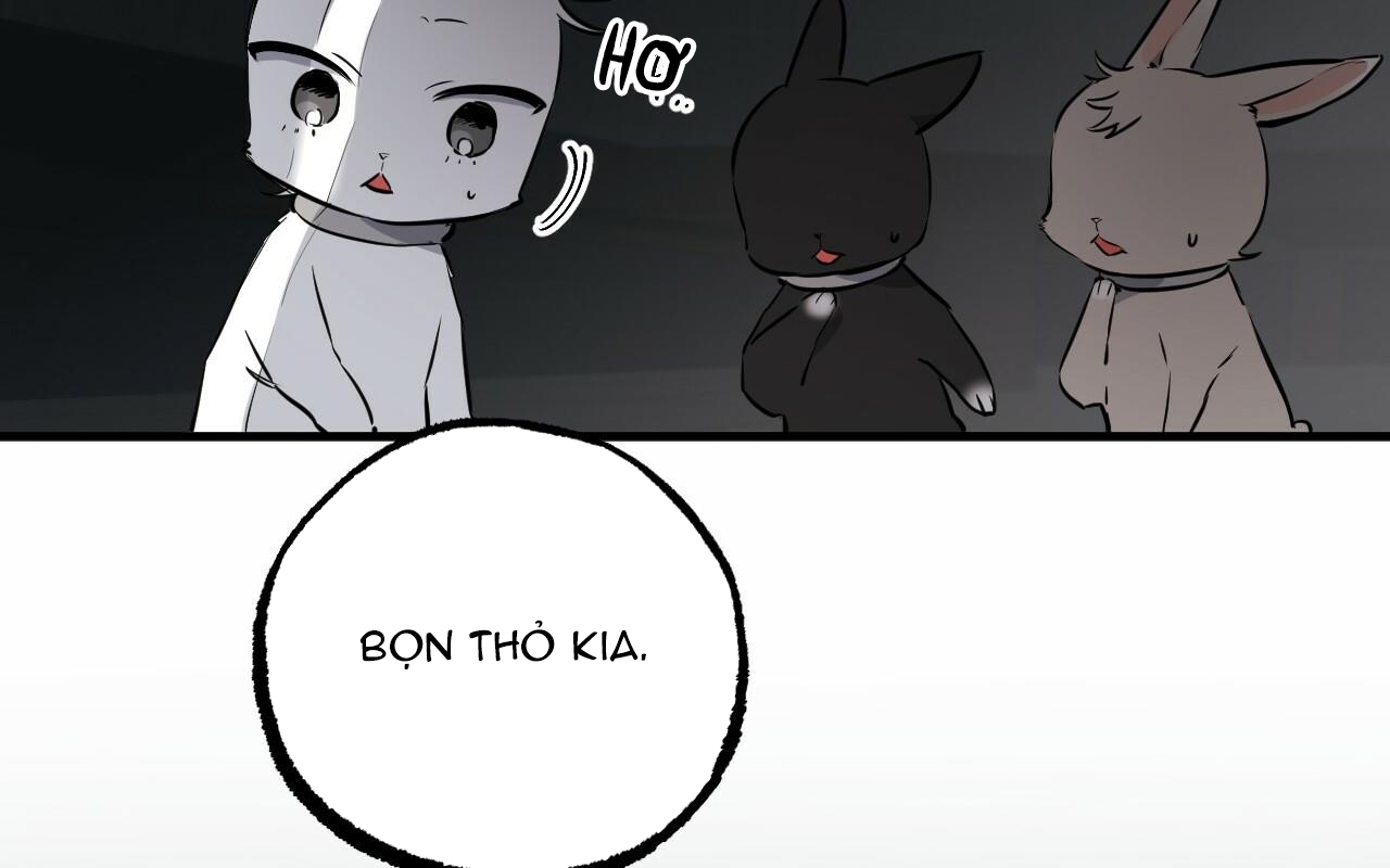 đàn thỏ của habibi chapter 46 113