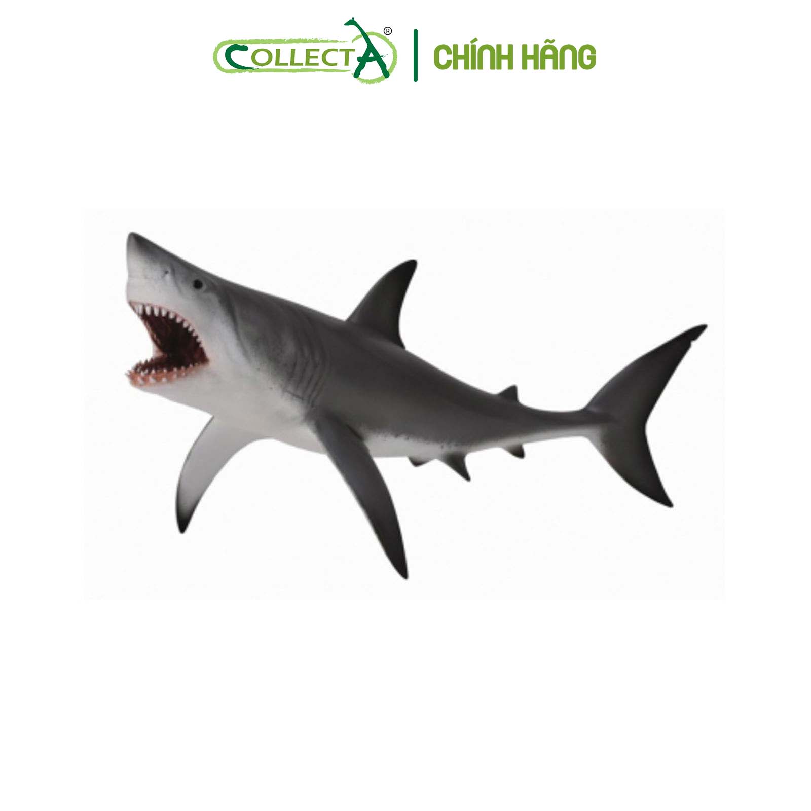 Mô hình thu nhỏ: Cá Mập Trắng - Great White Shark - Open Jaw, hiệu: CollectA, mã HS 9652080[88729] -  Chất liệu an toàn cho trẻ - Hàng chính hãng