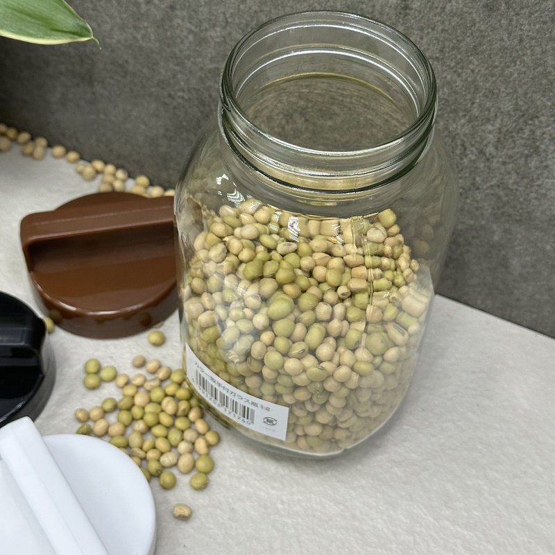 Chai thủy tinh có quai xách Echo Glass Bottle 1.0L - Hàng nội địa Nhật Bản nhập khẩu chính hãng