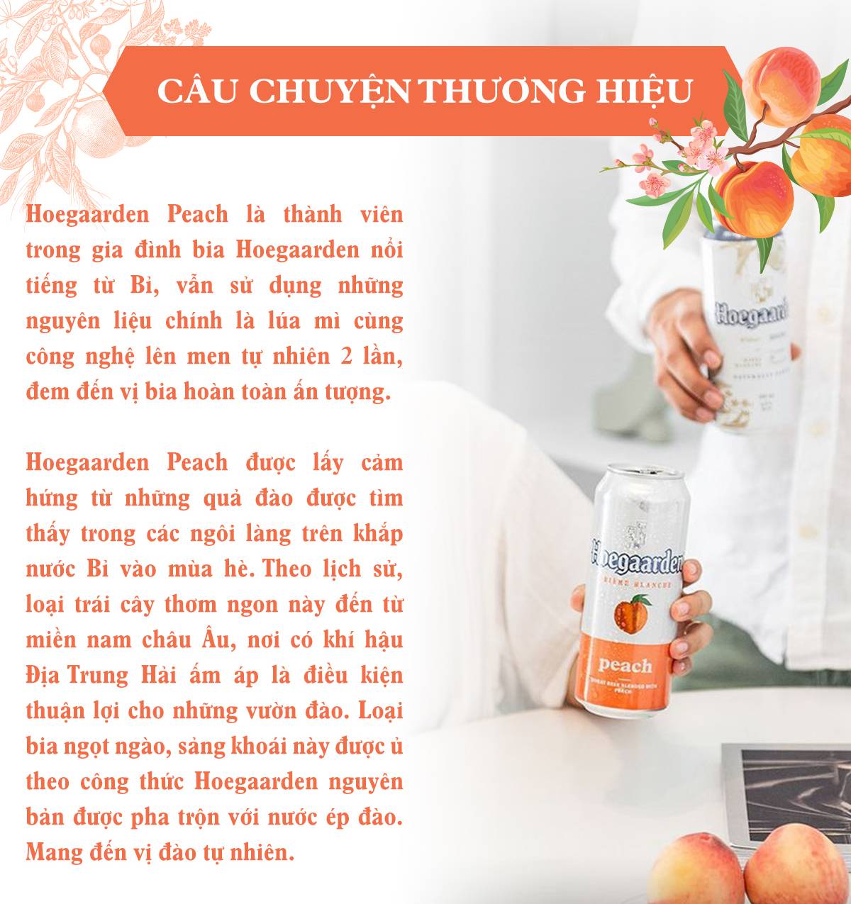 Bia Bỉ Hoegaarden Peach Hộp 6 Lon (500ml/Lon) Tặng 1 Ly Thủy Tinh