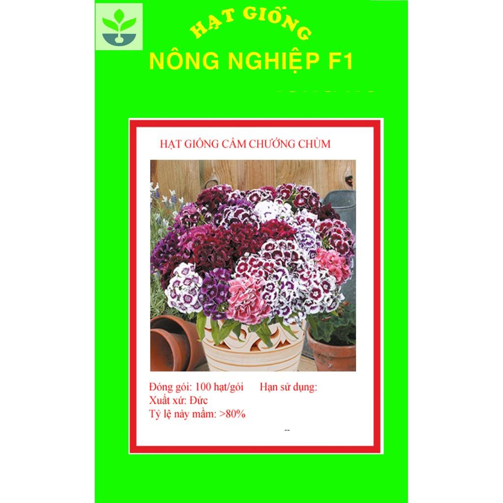 Gói 100 hạt giống cẩm chướng chùm mix