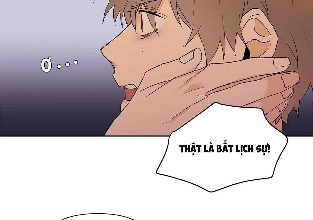 guide cấp b chapter 22 100