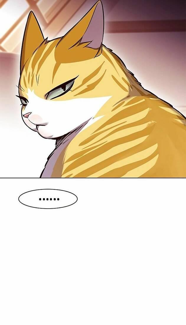 biến thân thành mèo chapter 242 49