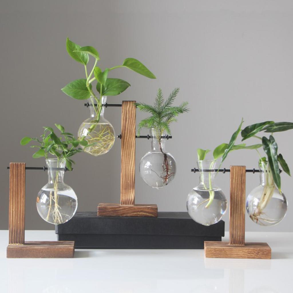 3X Test Tube Flower Vase Wooden Stand for  Plant Stand with 2 Vase