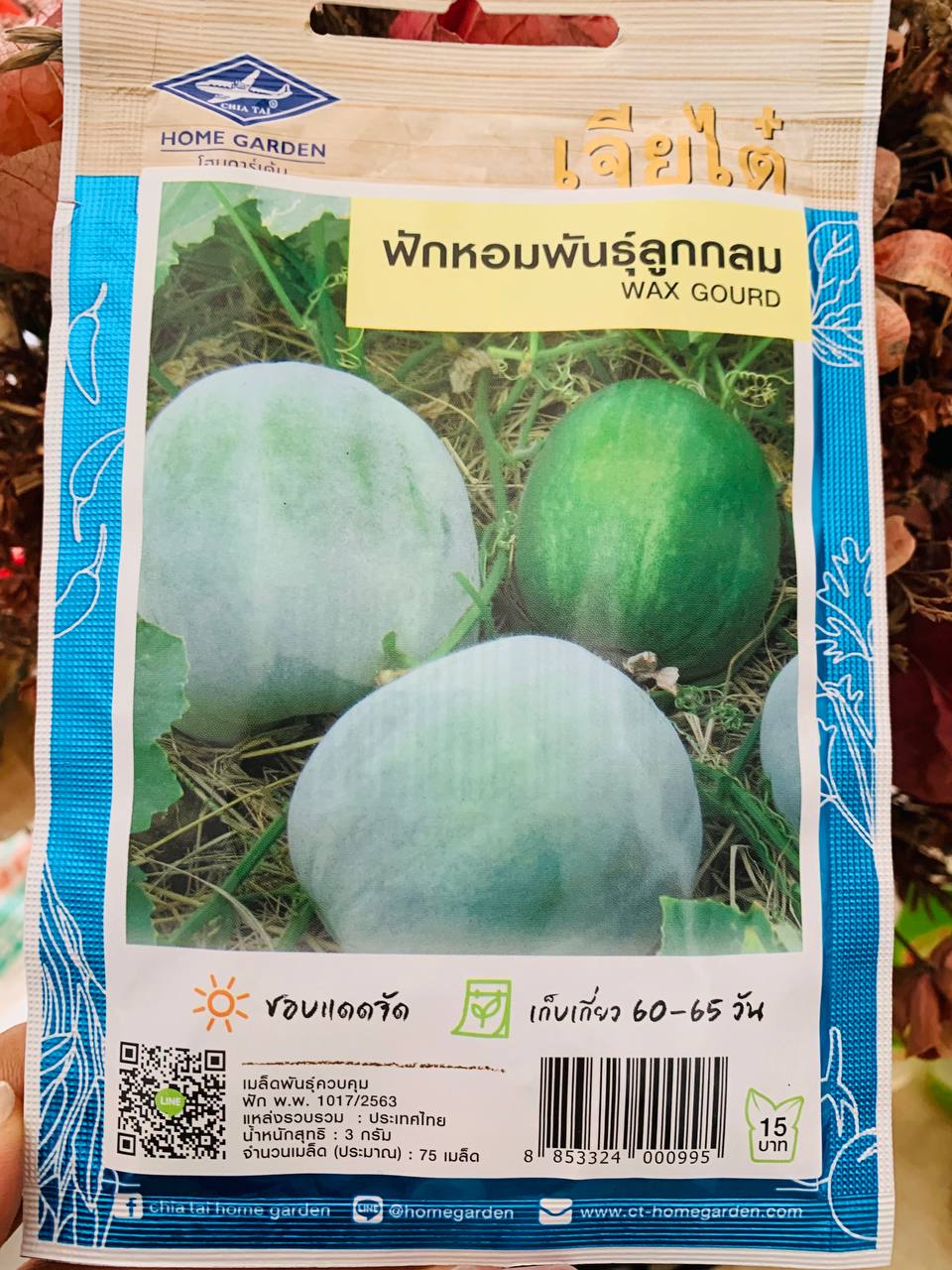 Hạt giống bí đao hương tròn Thái Lan