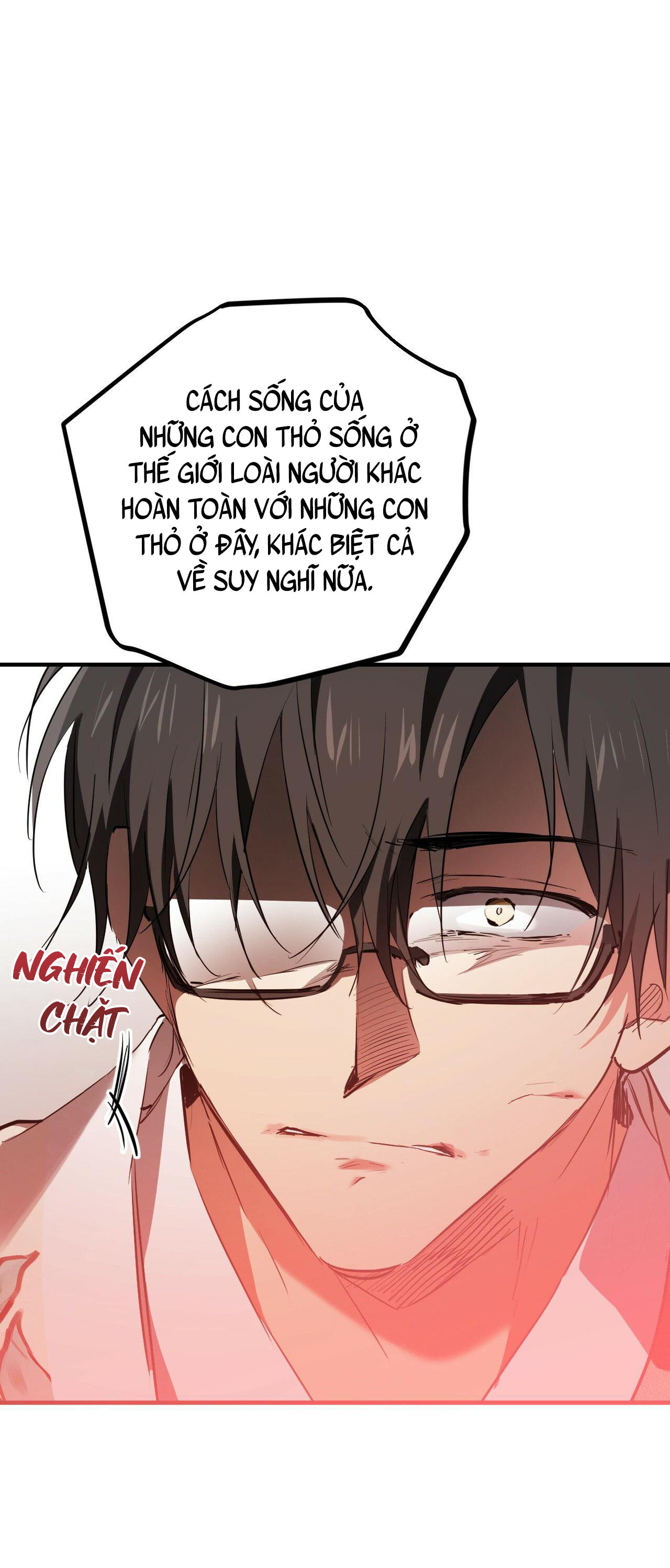 những chú thỏ của hapypy chapter 21 47