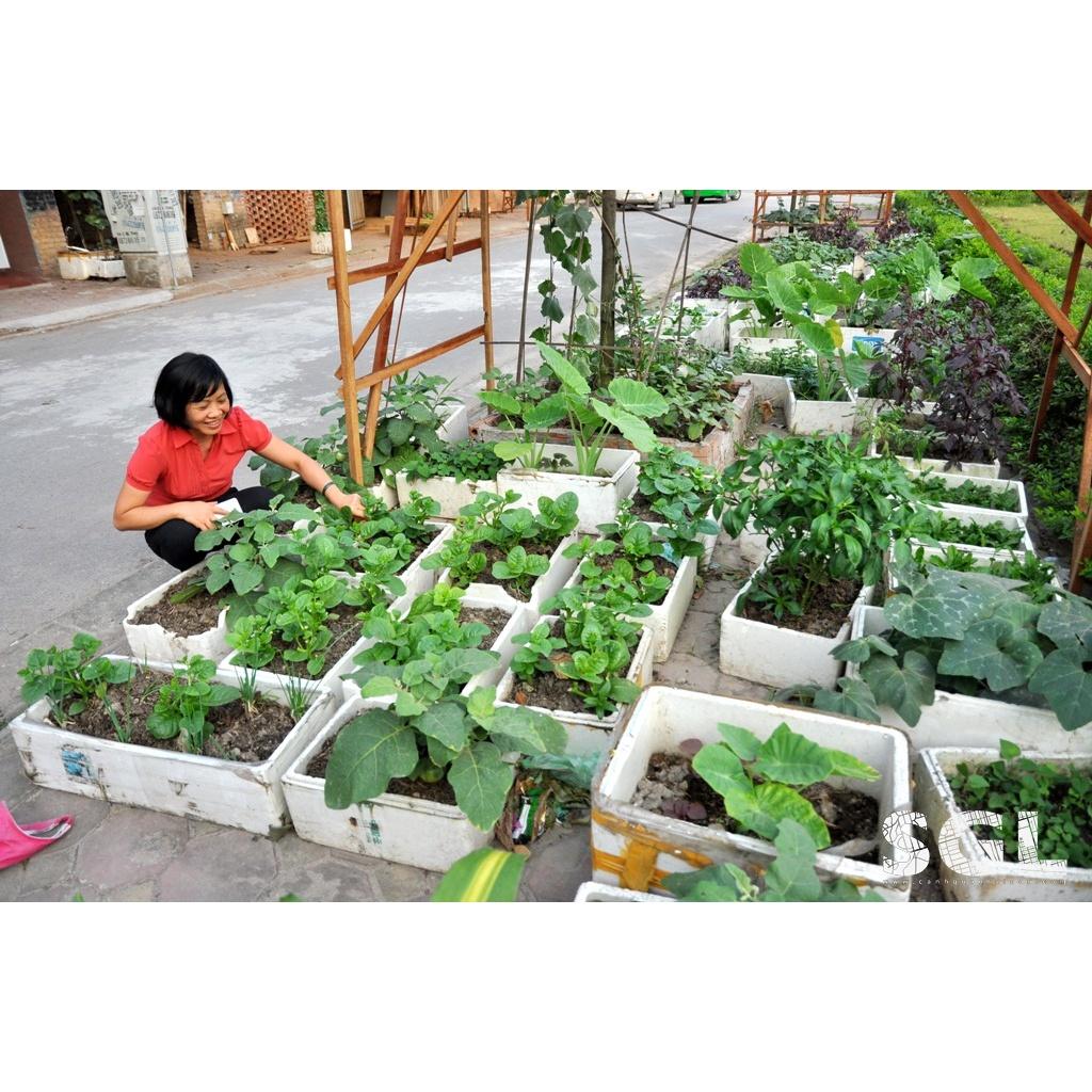 Bộ 3 dụng cụ làm vườn gồm: xẻng 30cm cán cao su + cào 5 răng + cuốc cào 2 trong 1- nhỏ gọn, tiện dụng