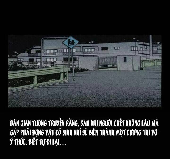 kỳ án có thật chapter 34 51