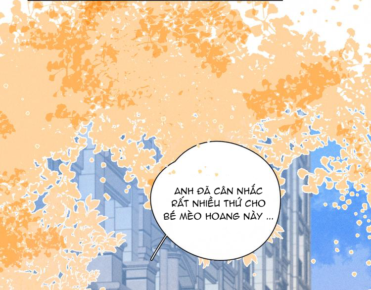 nỗi buồn của hoa cẩm tú cầu chapter 51 53