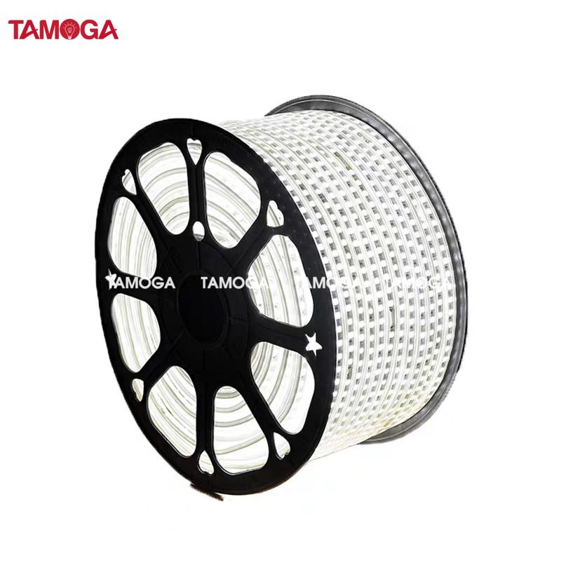 Dây đèn led trang trí dây đôi TAMOGA KISAENS 2835 đủ màu sắc