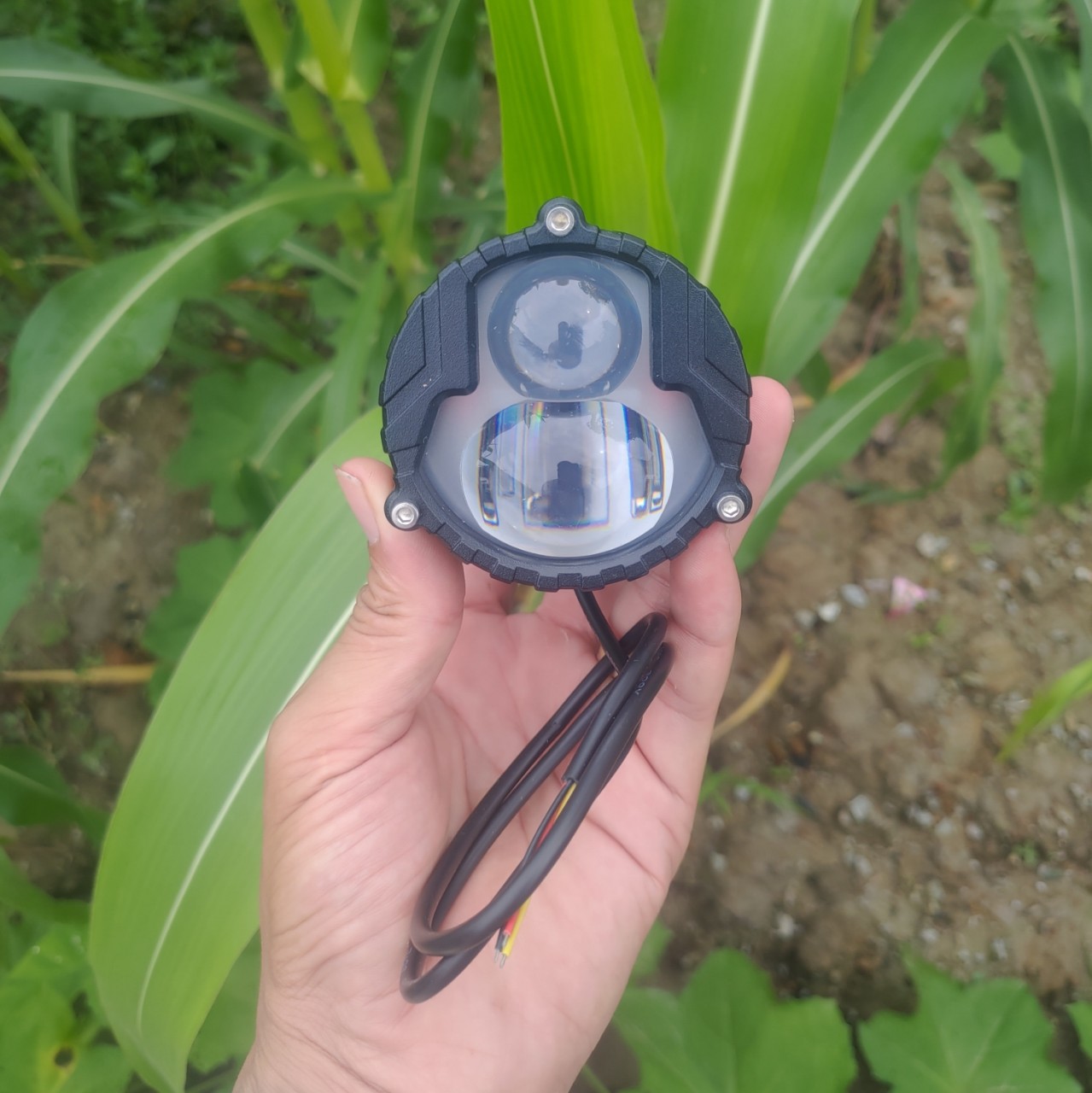 Đèn Trợ Sáng Bi Cầu BMU P66 55W/12.24V/DC Sáng 2 Màu Pha Laser