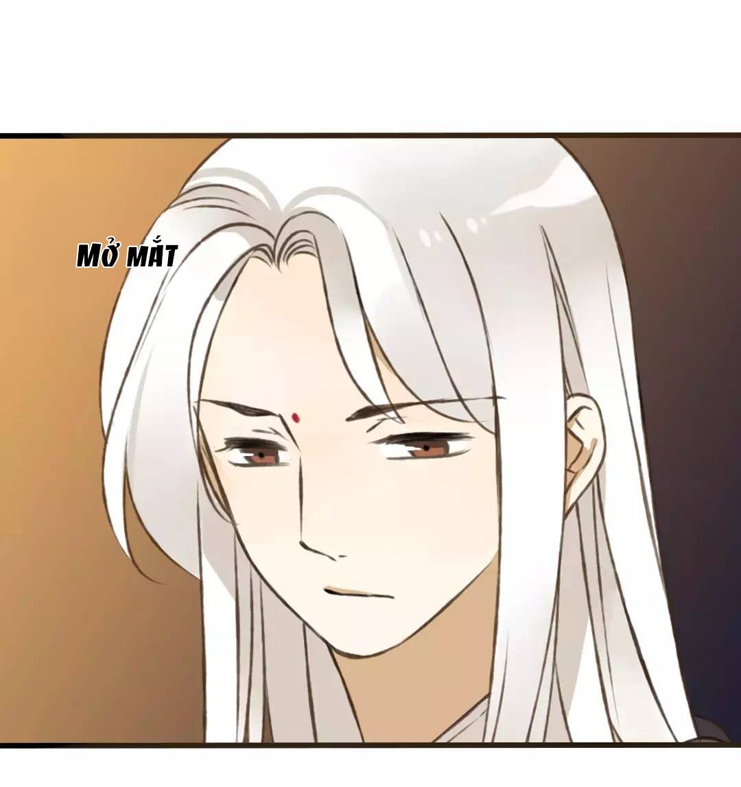 trên trời rớt xuống một hòa thượng ngốc chapter 42 7