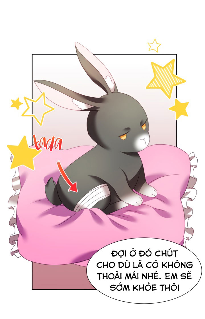 công chúa giả mạo và chú thỏ con chapter 2 44