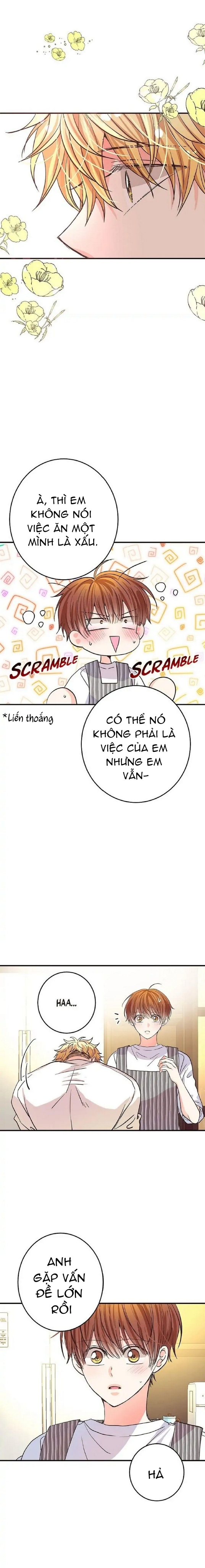 mối quan hệ phù hợp chapter 12 23