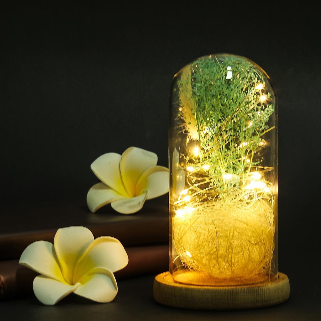 Clear Glass Lamp Night Lamp Ornament Flower LED Light in Glass