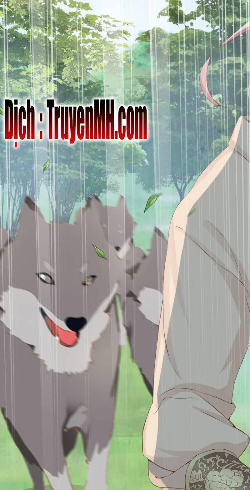 solo đi vương gia chapter 137 19