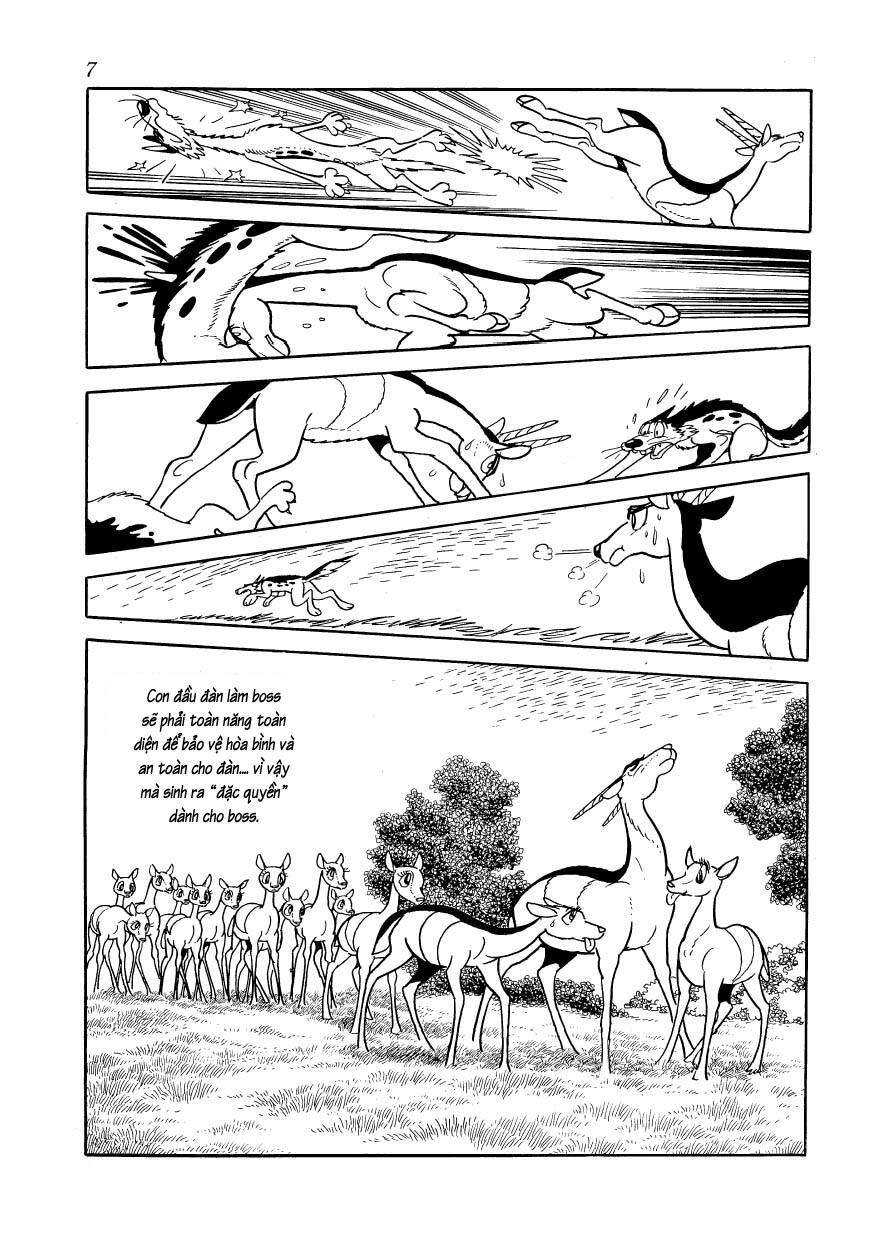 chim lửa chapter 77 10