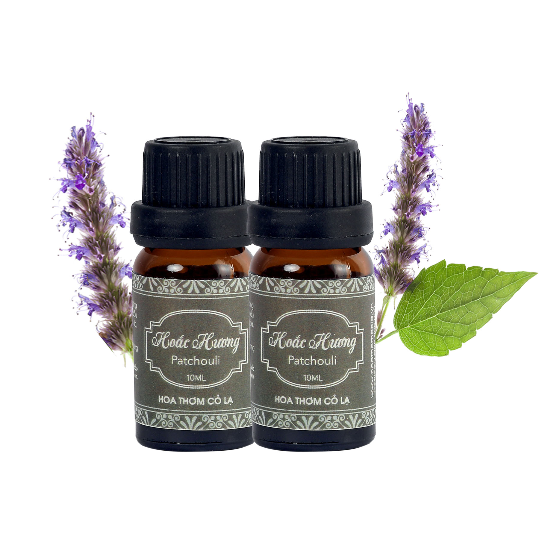 Tinh Dầu Hoắc Hương - Patchouli Essential Oil 10ml - Hoa Thơm Cỏ Lạ