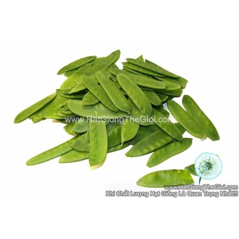 1KG Hạt Giống Đậu Hà Lan (| Y25*W23)