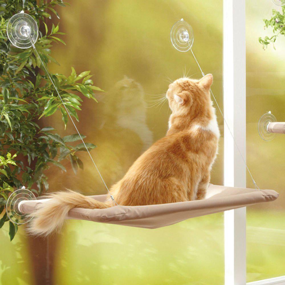 Giường võng cho chó mèo gắn cửa sổ