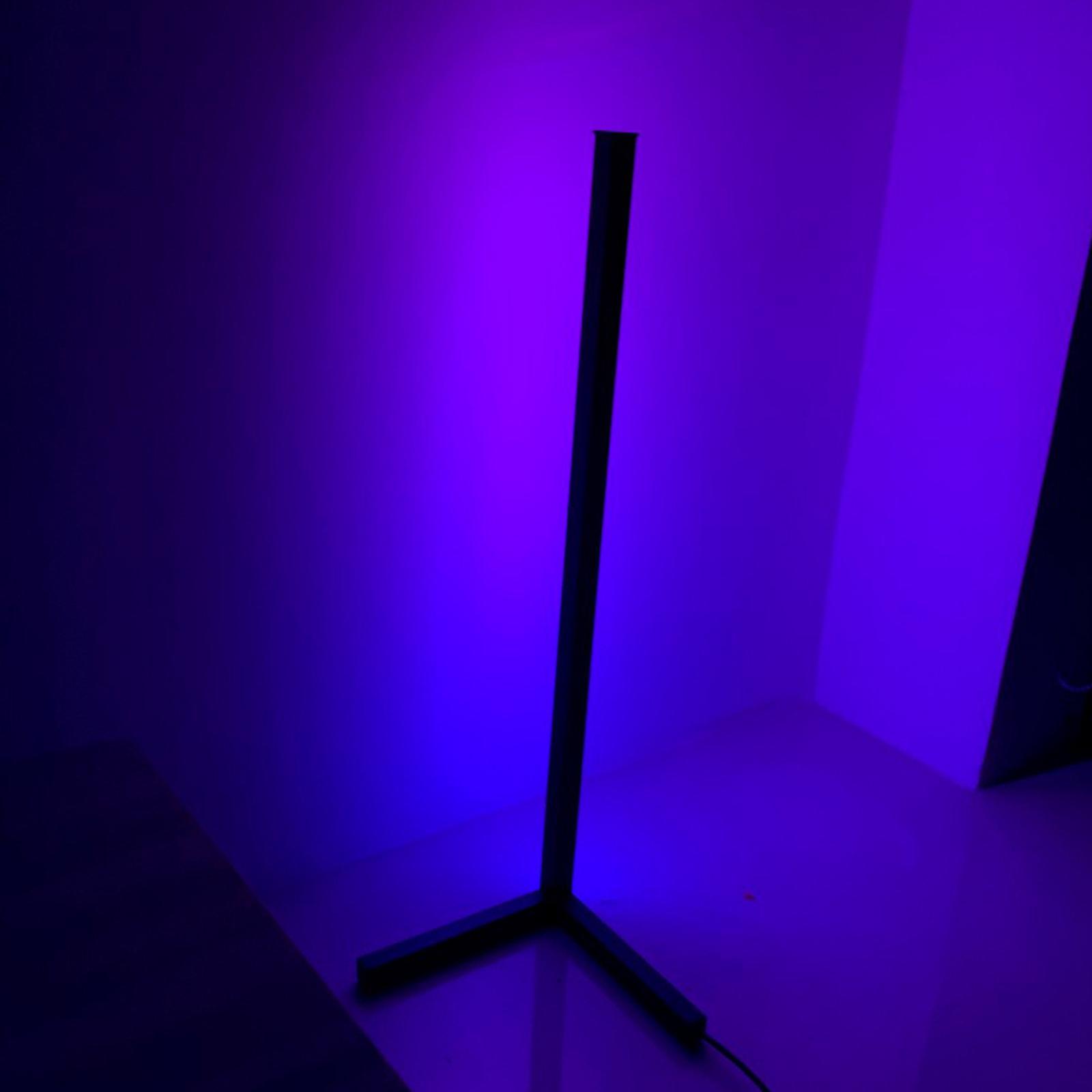 Color Changing RGB Mood Lighting Metal LED Wall Corner Floorlamp