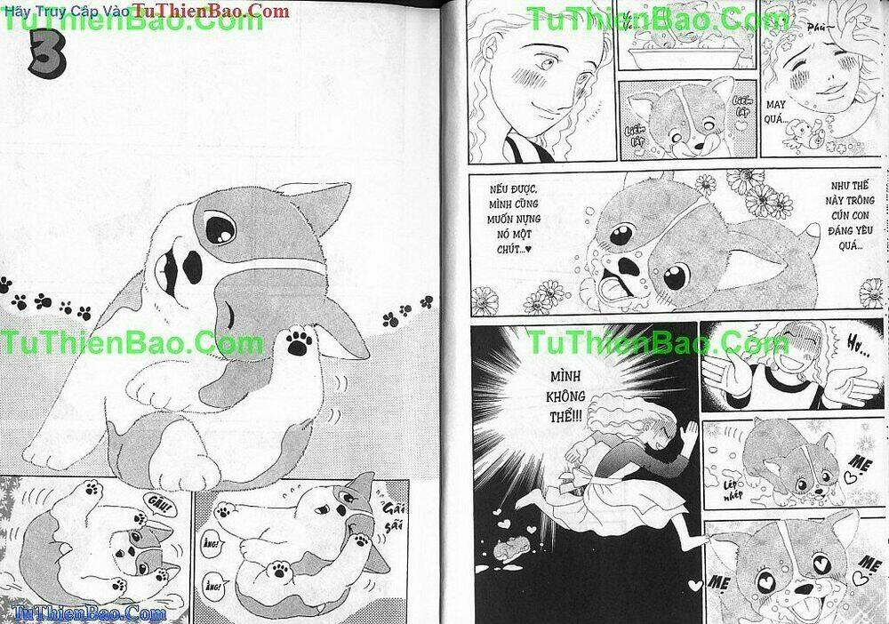 chó con mo mo chapter 1 10