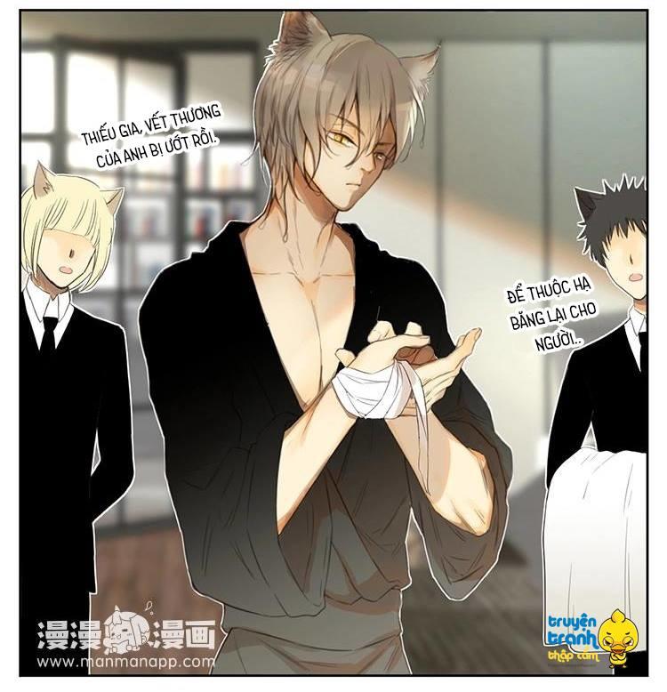 cứu mạng ! loài mèo thống trị thế giới rồi ! chapter 30 11