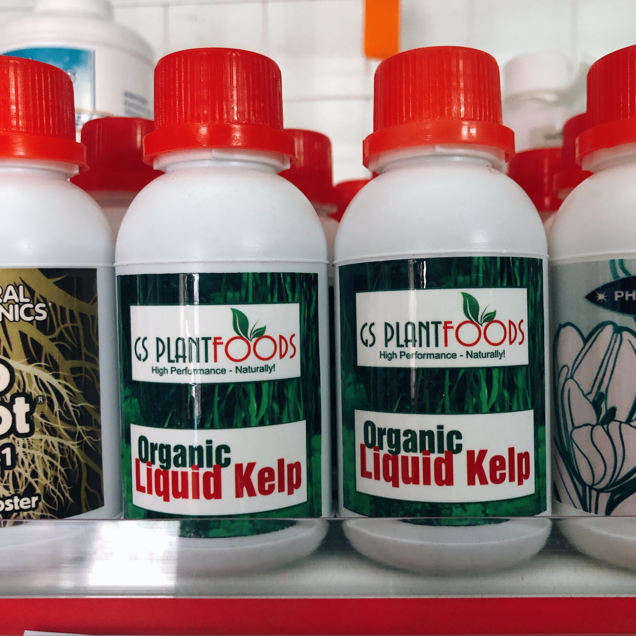 Phân bón rong biển Organic Liquid Kelp hàng Mỹ - 100 ml