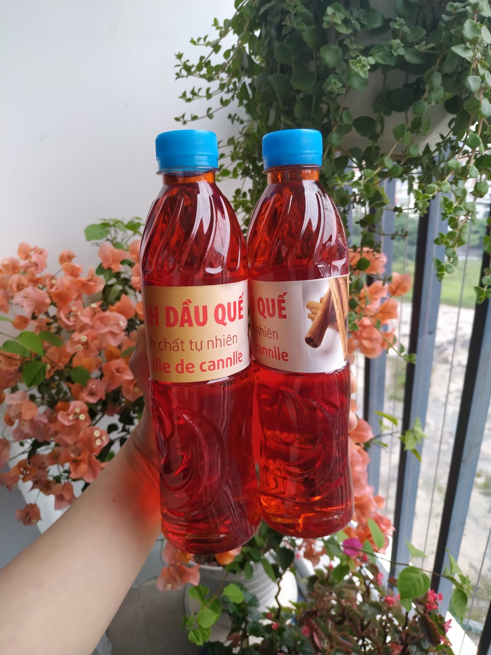 Tinh dầu quế lau nhà, chai 500ml