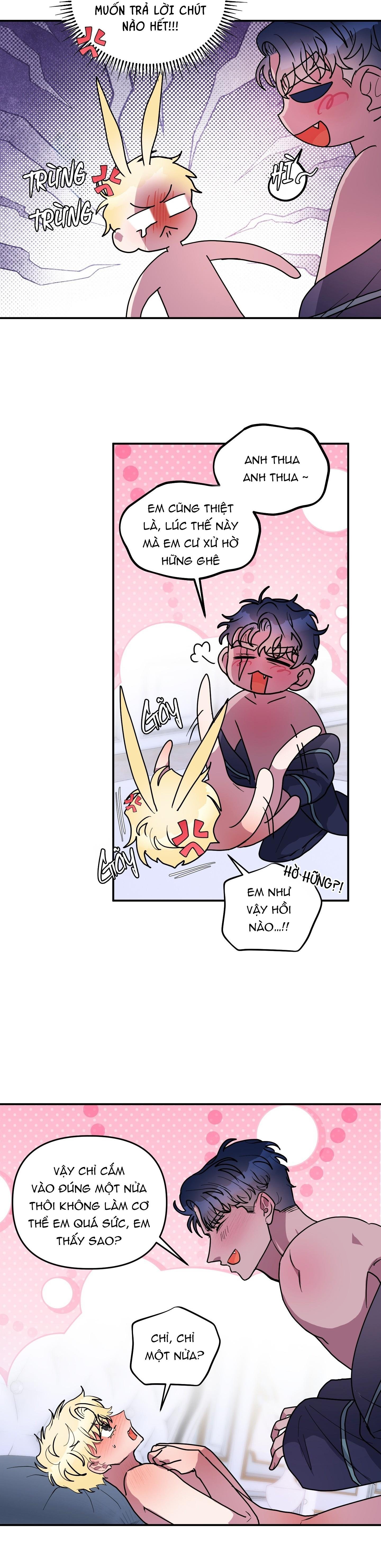 cá mập và cô dâu thỏ chapter 50 6