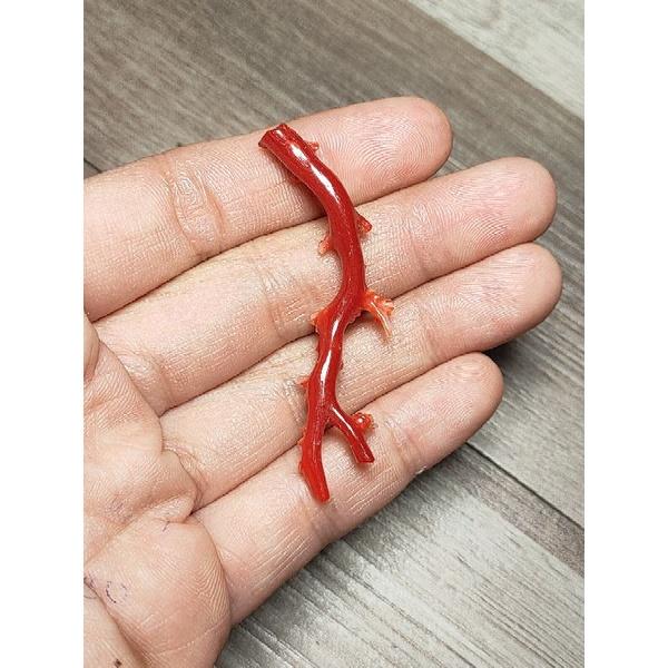 197- Đá San Hô Đỏ