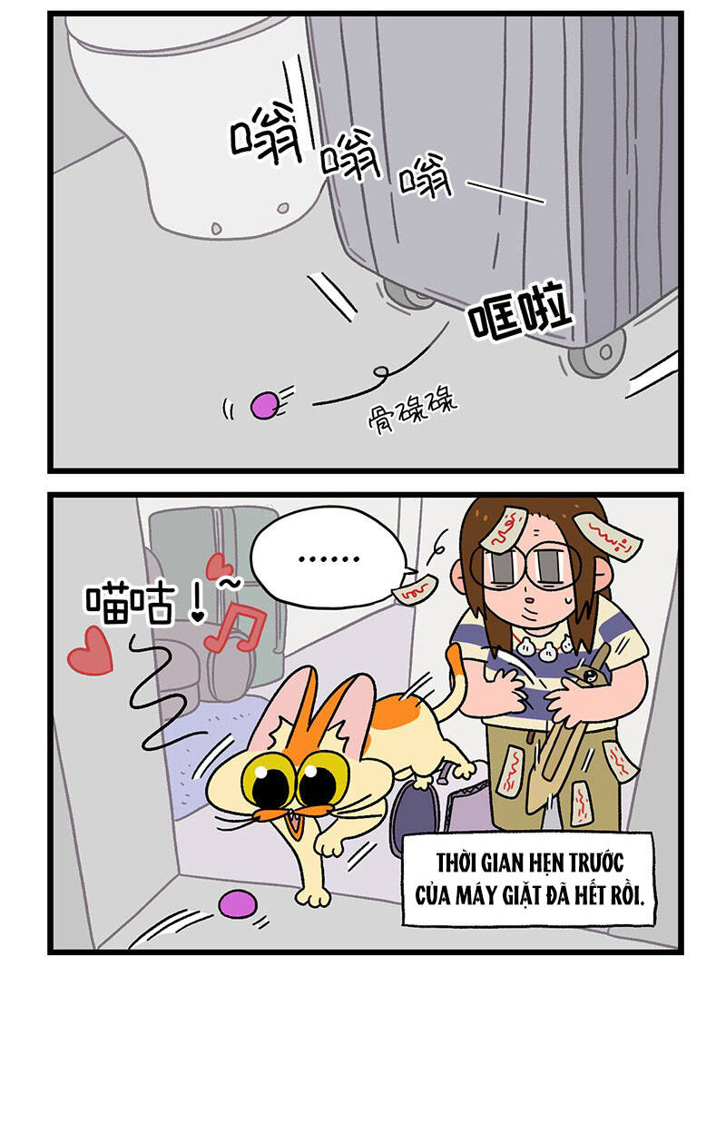 a mãn và mạch trà chapter 27 6