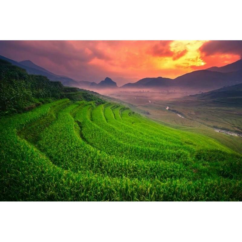 Tranh phong cảnh dán tường 3d  KT 100x60 cm