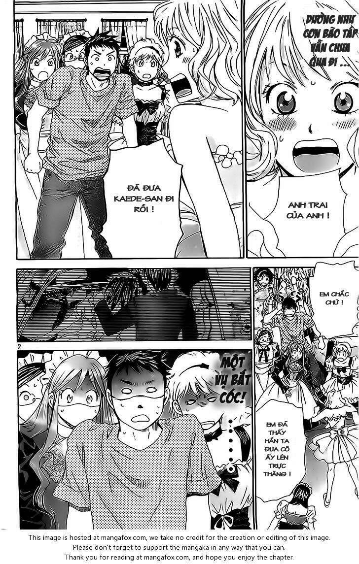 hachi ichi - 8 nàng 1 chàng chapter 15 4