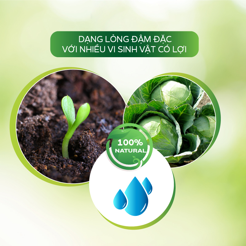 Chế Phẩm Tiêu Diệt Sâu Sinh Học AT Mebe Đậm Đặc 1kg Diệt Trừ Sâu Hại, Rầy Phấn Trắng, Rệp, Bọ Trĩ, Sâu Đục Thân, Bọ Xít