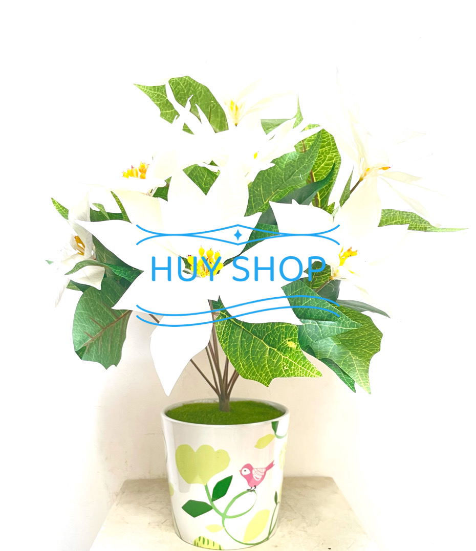 CHẬU HOA TRẠNG NGUYÊN VẢI CAO CẤP 12 NHÁNH