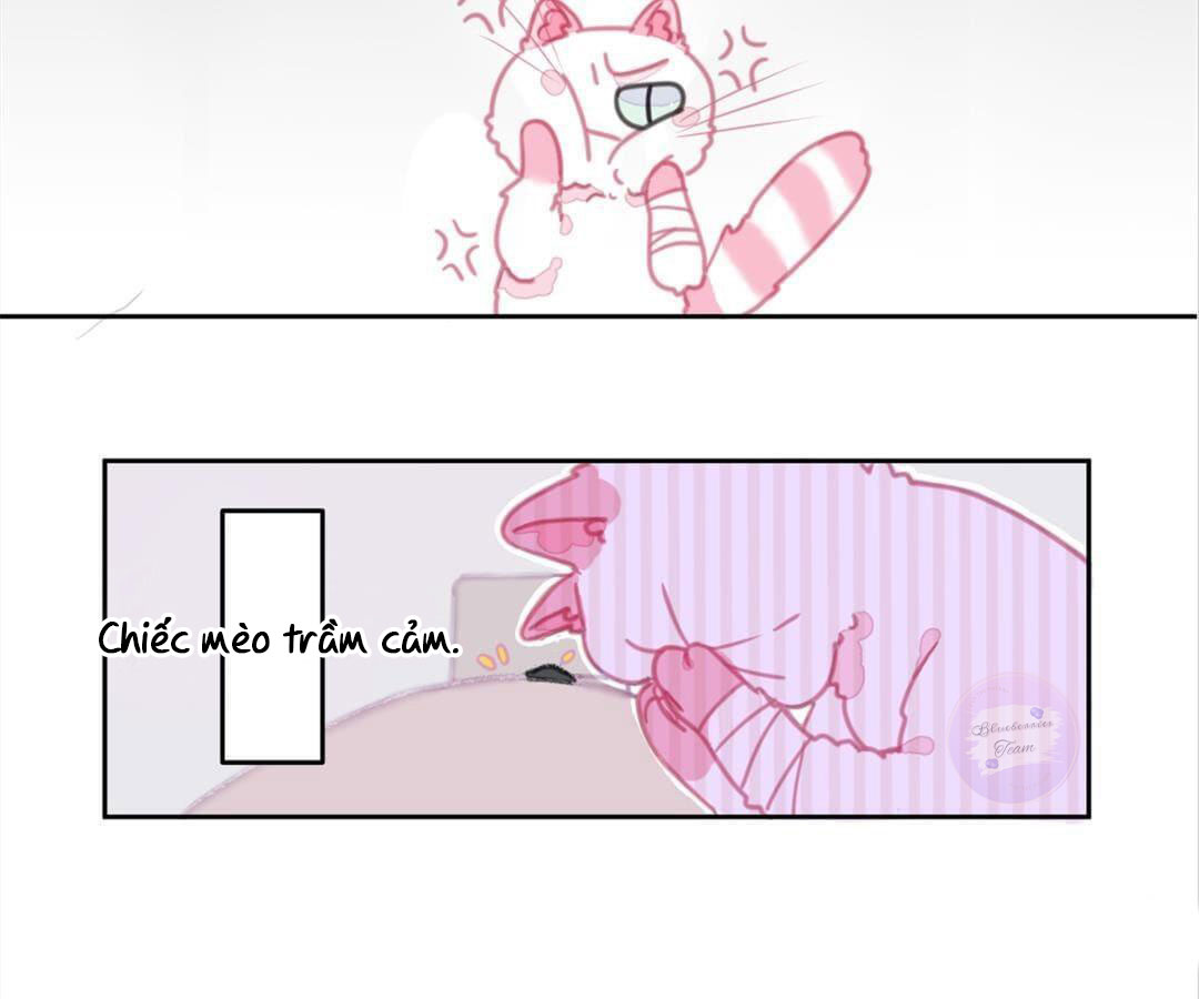 social cat chapter 1 33