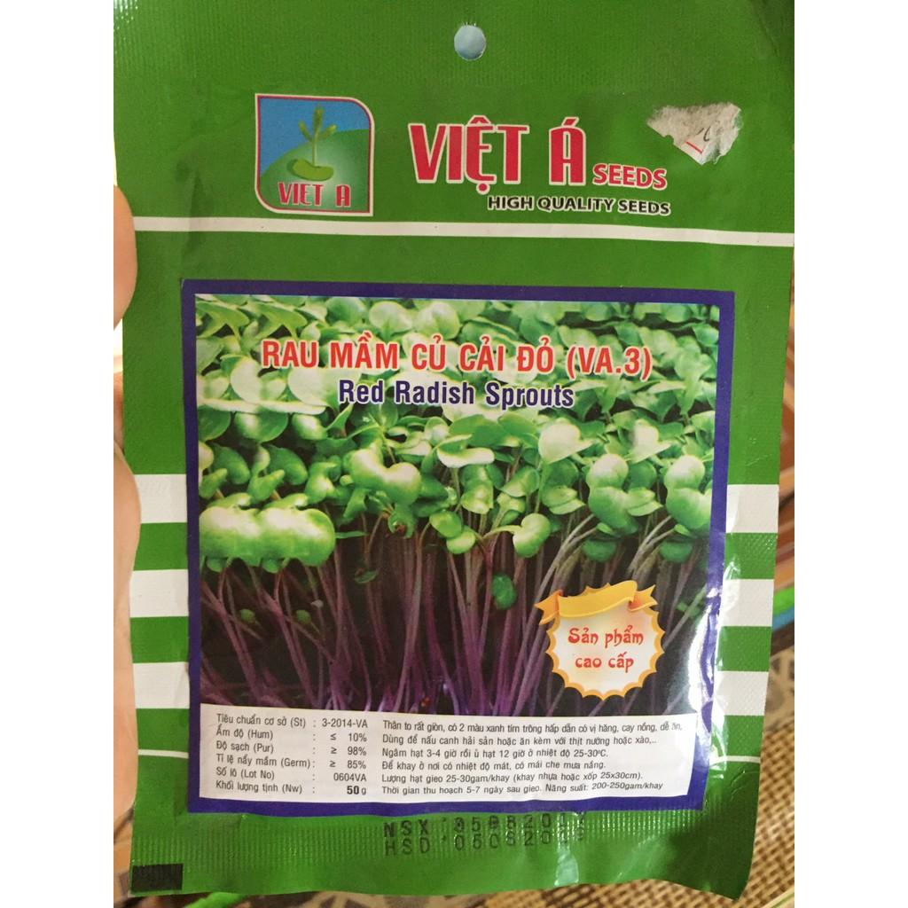 Hạt giống rau mầm củ cải đỏ 50g tỉ lệ nảy mầm cao