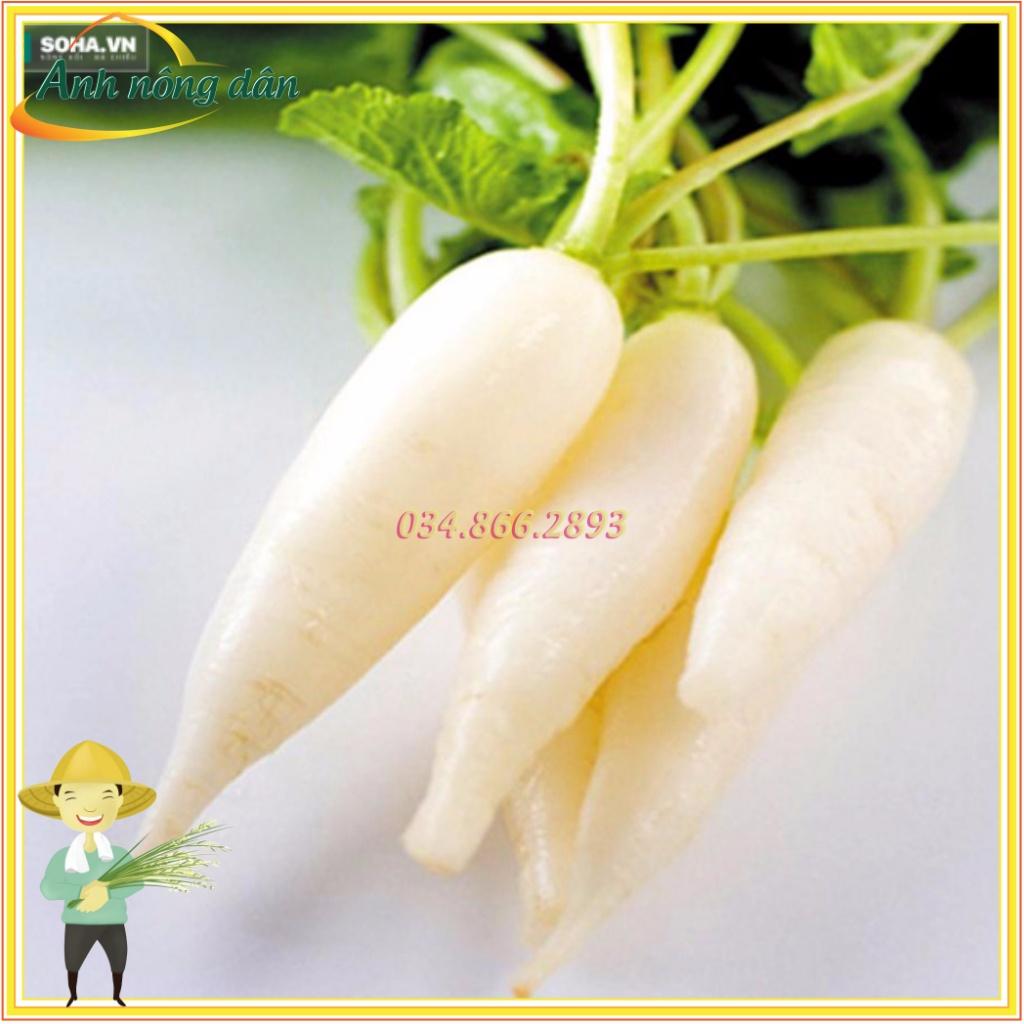 Gói 50g Hạt giống rau củ cải muối dưa F1 cao sản truyền thống Hà Nội - Anh nông dân chính hiệu