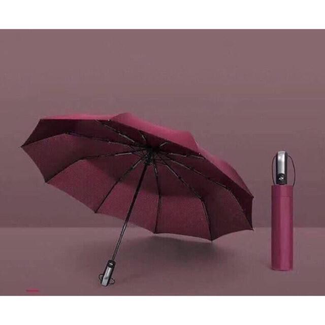 Ô Gấp Tự Động Xuất Nhật Cao Cấp