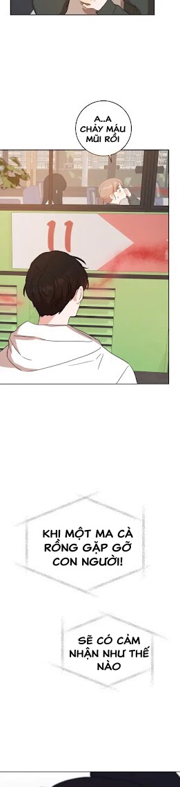 lãng mạn đẫm máu chapter 1.5 24