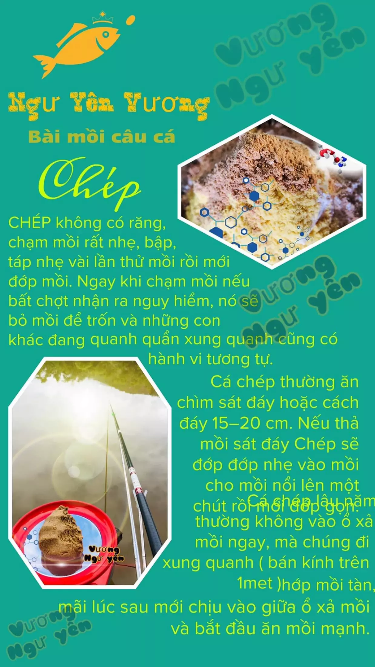 2 gói - 1kg Bài Mồi câu cá chuyên Chép -  Vương Ngư Yên / bột câu cá / cước / thẻo / cần câu / ô dù / ghế câu / lưỡi câu