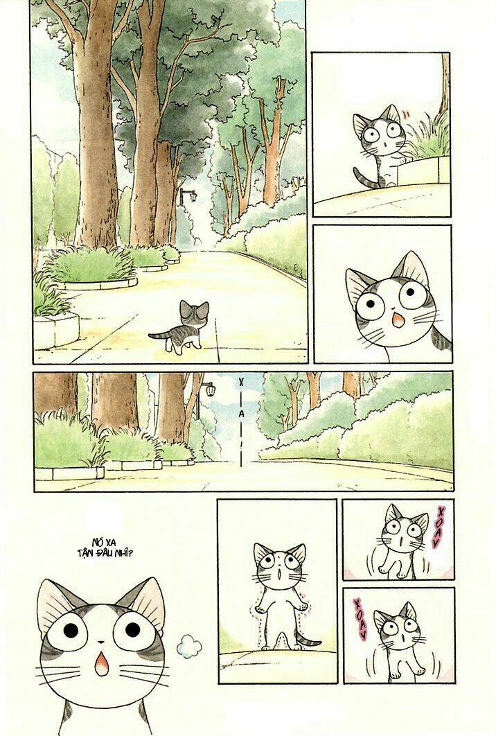 chi's sweet home chapter 81 7