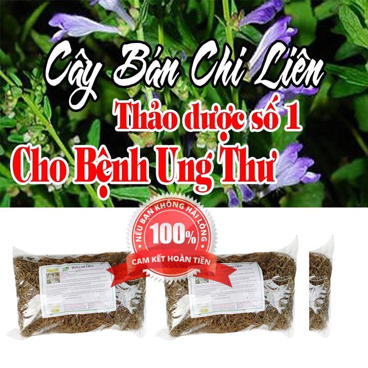 Cây bán chi liên - Sản phẫm hữu cơ tự nhiên gói 500gr