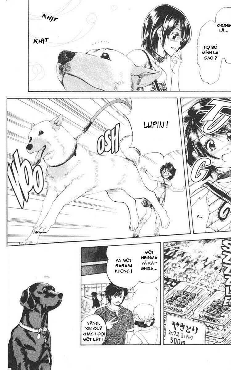 cô nàng yêu chó chapter 1 23