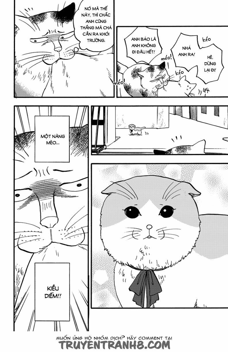 tui là busamen! chapter 2 17