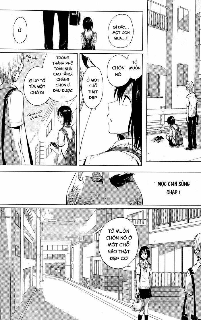 world gaze clips chapter 4 2