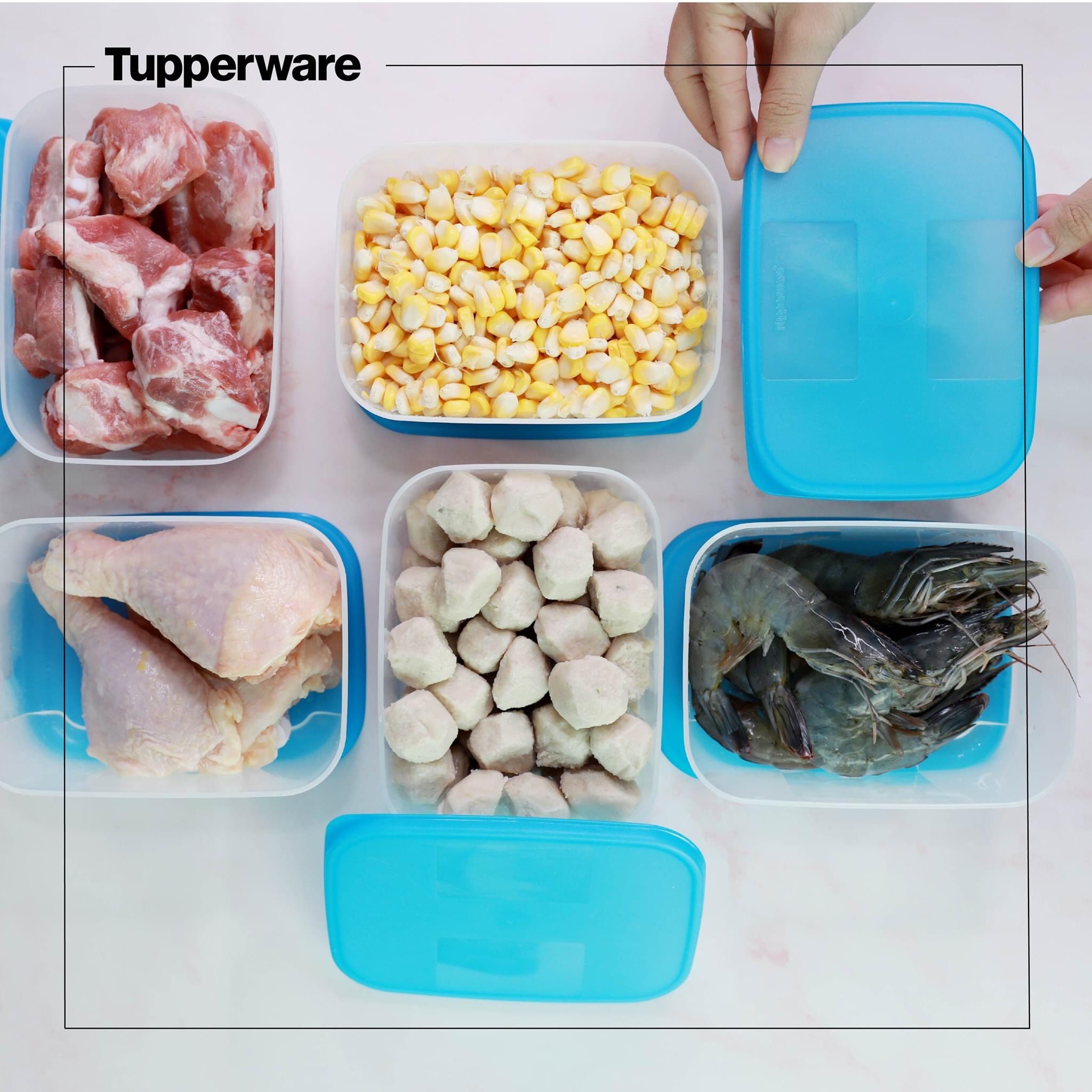 Bộ hộp trữ đông Freezermate set 6